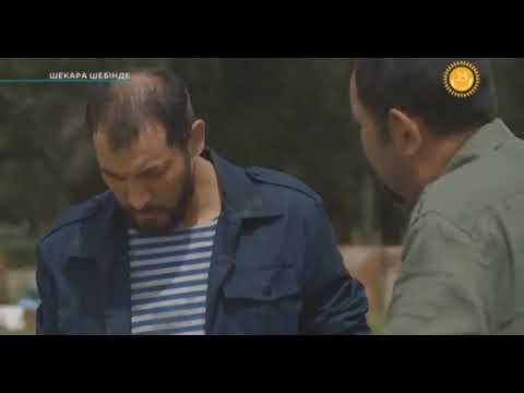 Видео: "Шекара шебінде" 8 бөлім
