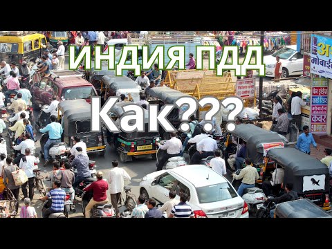 Видео: Это можно увидеть только в Индии #индийскийкалейдоскоп  #пдд  #авто