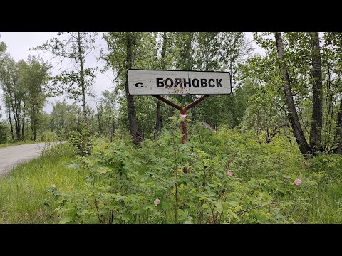 Видео: СЕЛО БОЯНОВСК / РАЙОН АЛТАЙ / ВКО / 2022