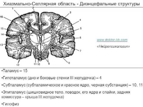 Видео: Оптимальное среднее АД после удаления опухолей диэнцефальной области. Савин И.А.
