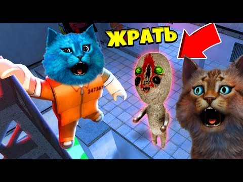 Видео: ПОБЕГ ОТ ВСЕХ SCP В СТРАШНОМ ЛАГЕРЕ В ЗОНЕ 51 В РОБЛОКС ROBLOX AREA 51 КОТЁНОК ЛАЙК И КОТИК ИГРОМАН