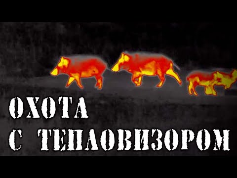 Видео: ОСЕННЯЯ ОХОТА НА КАБАНА / ТЕПЛОВИЗОР PULSAR ACCOLADE / НОЧНИК ATN / КАРАБИН ТК-598 9,6/53 LANCASTER