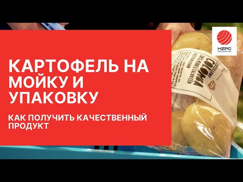 Видео: Как получить качественный картофель на мойку и упаковку?