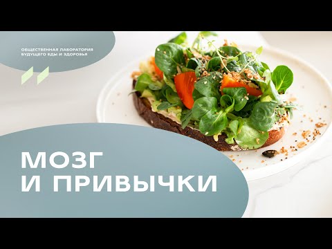 Видео: Завтрак «Мозг и привычки». Дмитрий Алексеев