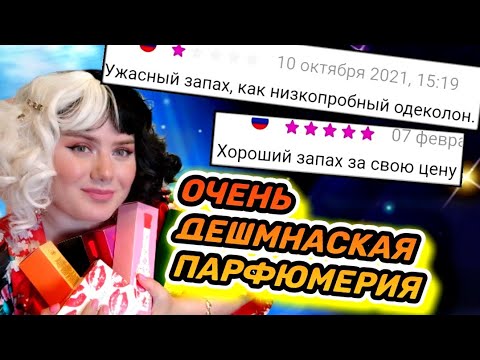 Видео: ДЕШЁВАЯ ПАРФЮМЕРИЯ TODAY PARFUM