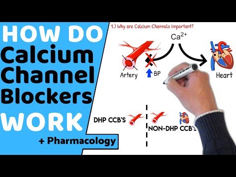 Видео: Как действуют блокаторы кальциевых каналов? (+Фармакология)