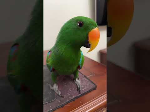 Видео: Ночной эфир