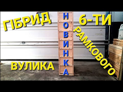 Видео: НОВИНКА! Гібрид 6-ти рамкового вулика #пчеловодствов6тирамочныхульях