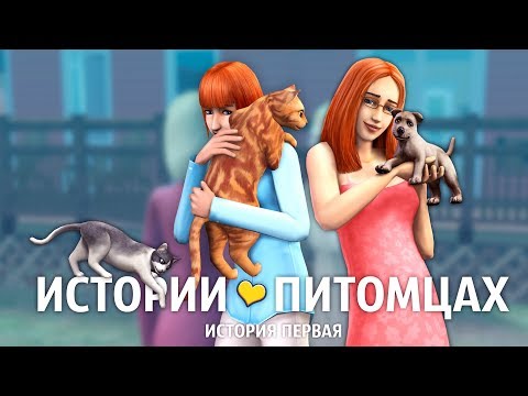 Видео: The Sims: Истории о питомцах / Выставка собак / Часть 1