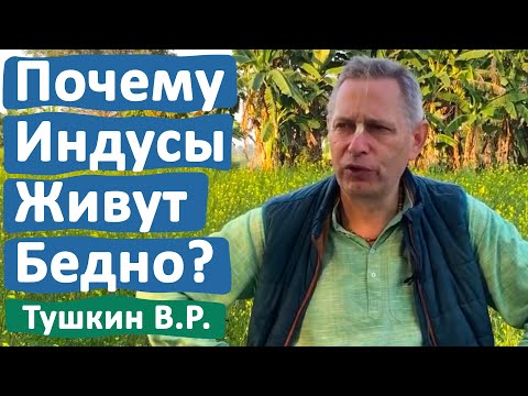 Видео: ПОЧЕМУ ИНДУСЫ ЖИВУТ БЕДНО? • ВАСИЛИЙ ТУШКИН