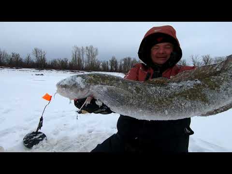 Видео: Рыбалка 2021-2022. Жерлицы.