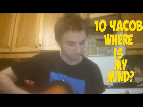 Видео: Cерега Пират псевдокавер where is my mind 10 часов