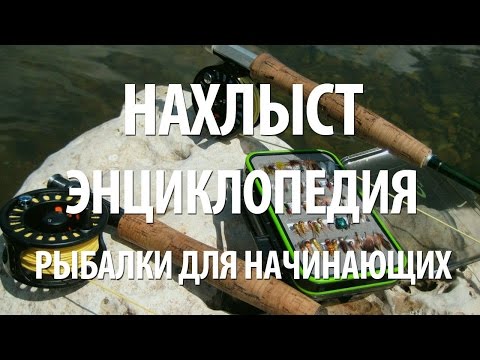 Видео: НАХЛЫСТ - ЭНЦИКЛОПЕДИЯ РЫБАЛКИ для НАЧИНАЮЩИХ. ОСНОВЫ ЛОВЛИ РЫБЫ НАХЛЫСТОМ