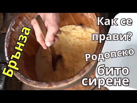 Видео: Майсторът на сиренето Брънза - Салих Паша