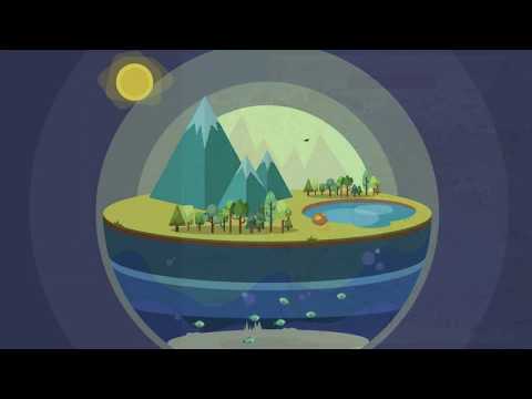 Видео: §50 "Биосфера - сфера жизни", География 5-6 классы, Полярная звезда