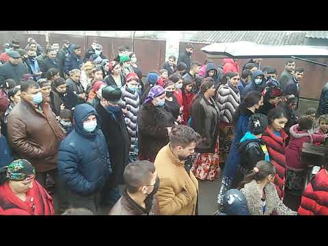 Видео: Богар