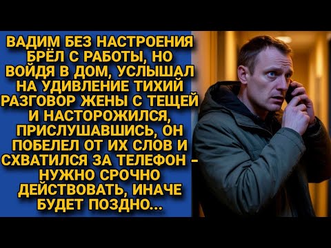Видео: «Я беременна от твоего мужа! Проваливай» заявила наглая девица. Но жена спокойно улыбнулась и...