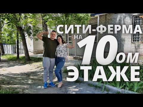 Видео: Ферма микрозелени на 10 этаже в кваритре Бизнес в квартире бизнес идеи