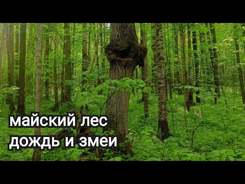 Видео: Путешествие в затерянный мир (п. Малиновский) Поход 18 мая 2025 года (первый в этом году)