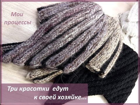 Видео: Мои будни. Провожаю трёх красавиц.