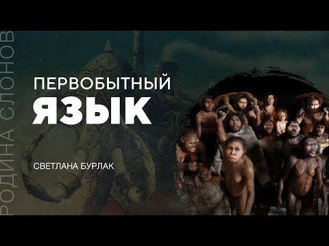 Видео: Первобытный язык. Светлана Бурлак. Родина слонов № 38