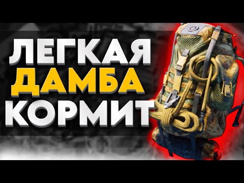 Видео: СКОЛЬКО МОЖНО ЗАЛУТАТЬ С ЛЕГКОЙ ДАМБЫ В СОЛО    DELTA FORCE