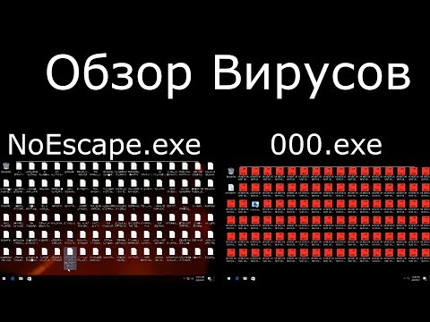 Видео: Обзор вируса 000 и NoEscape