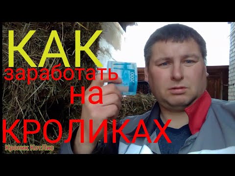 Видео: КАК ЗАРАБОТАТЬ ДЕНЕГ на КРОЛИКАХ. Краткий курс.( часть 1).
