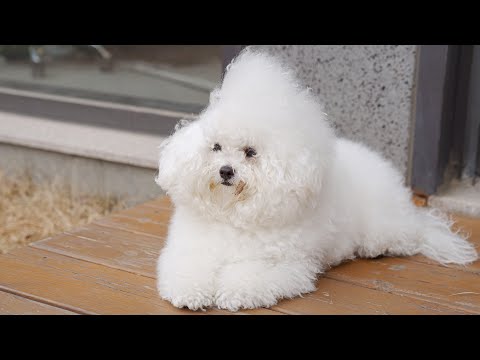 Видео: Кто-нибудь съел это?