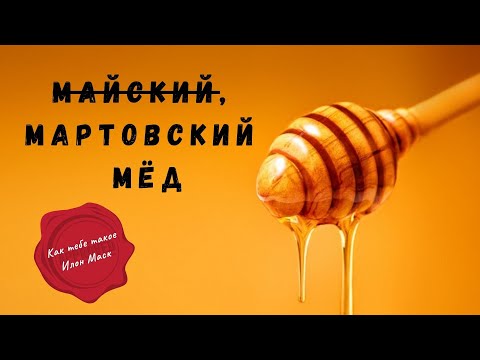 Видео: Мартовский мёд - он реален. На что способен альпийский улей.