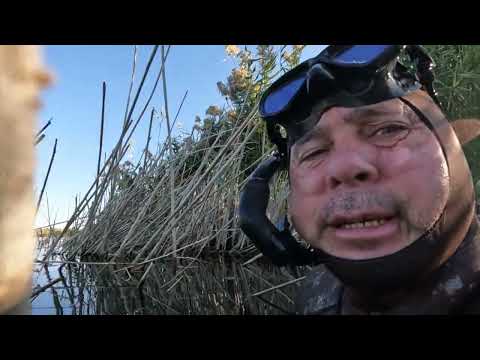 Видео: Сазанлар маконига иккинчи саёхатим. 2-кисм