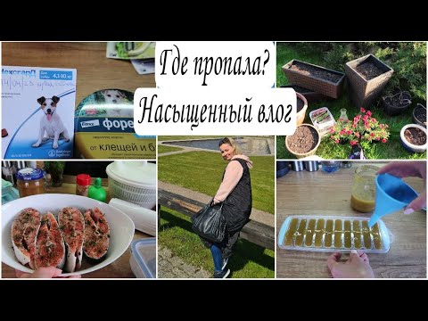 Видео: 😍 МОЩНАЯ МОТИВАЦИЯ *САЖУ ЦВЕТЫ *ЗАЩИТА от КЛЕЩЕЙ #уборка #мотивациянауборку #хранение Юлия Пушнегина