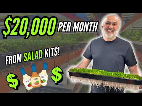Видео: Как эта гидропонная ферма зарабатывает 250 000 долларов в год, продавая наборы для салата