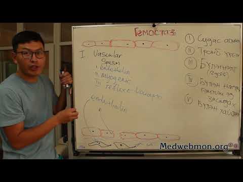 Видео: Хичээл №2: Цус бүлэгнэх тогтолцоо буюу Гемостаз, коагулограм унших хялбар аргачлал