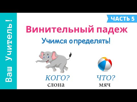 Видео: Винительный падеж. Как определить винительный падеж?