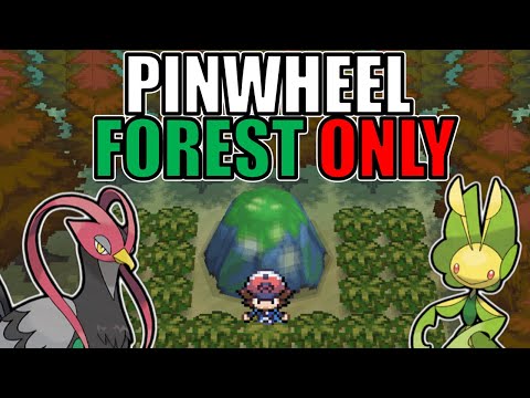 Видео: Победите Pokémon Black, используя только покемонов из Pinwheel Forest!
