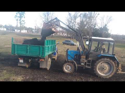 Видео: МТЗ 82.1 погрузка куном