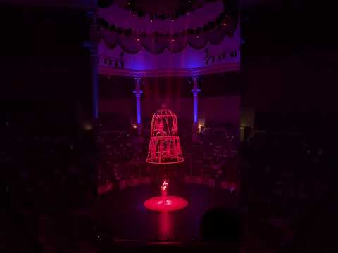 Видео: Цирк Никулина. Шоу «Музыка победы»