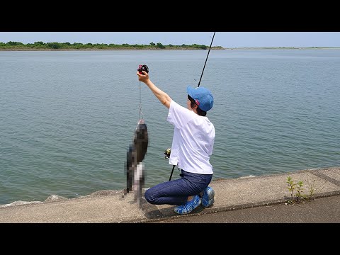 Видео: На lure легко поймать black seabream ! Шокирующий метод ловли!
