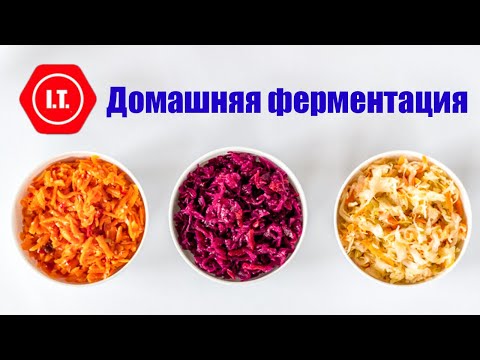 Видео: Домашняя ферментация - кефир, творог, ряженка, капуста, морковь.