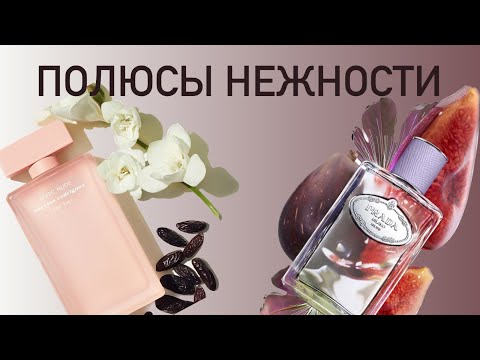 Видео: НОВИНКИ ПАРФЮМЕРИИ - НЕЖНЫЕ, НО ТАКИЕ РАЗНЫЕ: Musc Nude Narciso Rodriguez и Infusion de Figue Prada.