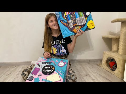 Видео: СЮРПРИЗ БОКС WOOHOOBOX спас меня от неприятности в школе