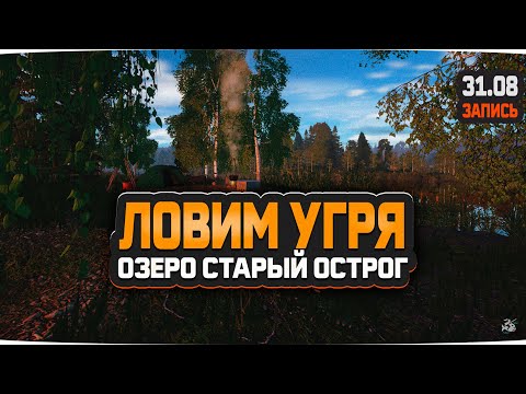 Видео: Ловим Угря на озере Старый Острог — Русская Рыбалка 4