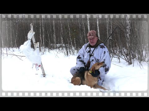 Видео: Вот это номер! Два зайца в раз на охотника выскочили!