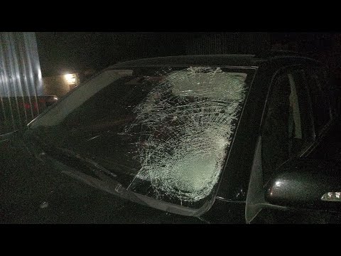 Видео: Сбил Лося на трассе...ВОССТАНАВЛИВАЮ АВТО