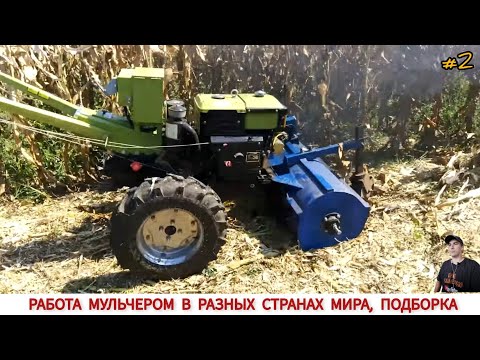 Видео: РАБОТА МУЛЬЧЕРОМ В РАЗНЫХ СТРАНАХ МИРА, ПОДБОРКА #2/MULCHER WORK IN DIFFERENT COUNTRIES OF THE WORLD