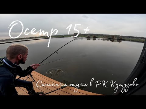 Видео: Семейный отдых в РК Кутузово Осётр на 15 кг