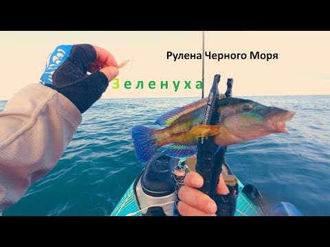 Видео: Ловим с SUP на спиннинг в Черном море | Что клюет?