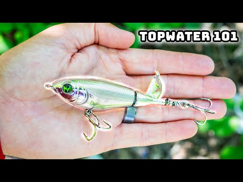 Видео: Научитесь ловить рыбу на поверхностные приманки в 2025 году! (Успех гарантирован)