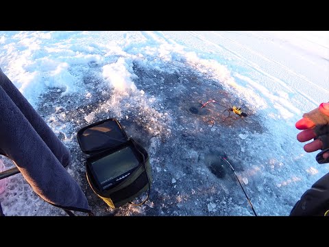 Видео: ГЛИБИНА БІЛЬШЕ 10 МЕТРІВ! Підводна зйомка. Зимова рибалка 2024 на водосховищі